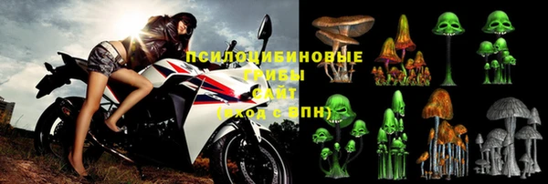 прущие грибы Богданович