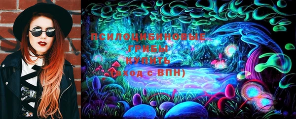 МДМА Богородицк