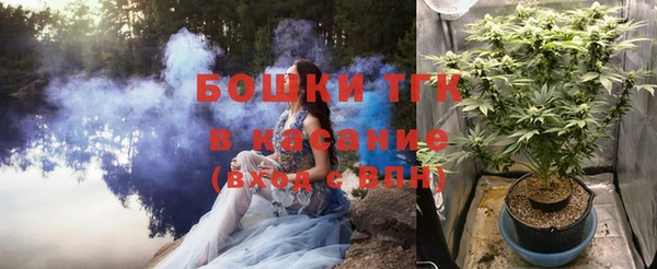 прущие грибы Богданович